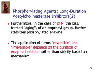 40
Phosphorylating Agents: Long-Duration
Acetylcholinesterase Inhibitors(2)
 Furthermore, in the case of DFP, the loss,
t...