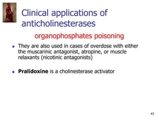 43
Clinical applications of
anticholinesterases
 They are also used in cases of overdose with either
the muscarinic antag...