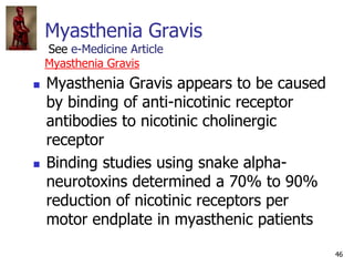 46
Myasthenia Gravis
See e-Medicine Article
Myasthenia Gravis
 Myasthenia Gravis appears to be caused
by binding of anti-...
