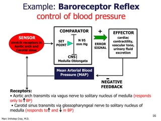 Marc Imhotep Cray, M.D.
Baroreceptors & Chemoreceptors
16
• Hypotension- arterial pressure stretch afferent baroreceptor f...