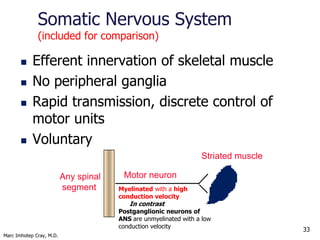 Marc Imhotep Cray, M.D.
33
Neurochemical Transmission in
Peripheral Nervous System (PNS)
 Cholinergic nerves
 Acetylchol...