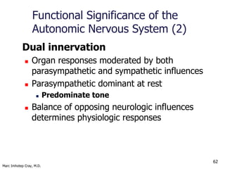 ANS Pharmacology -Intro to the Autonomic Nervous System