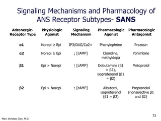 Marc Imhotep Cray, M.D.
73
Adrenergic-
Receptor Type
Physiologic
Agonist
Signaling
Mechanism
Pharmacologic
Agonist
Pharmac...