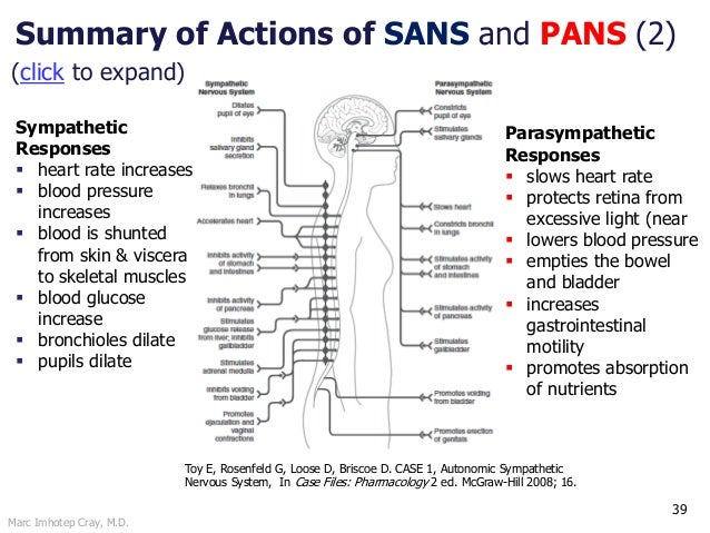 sympathetic vs parasympathetic venn diagram barca central nervous system vs peripheral nervous system venn diagram