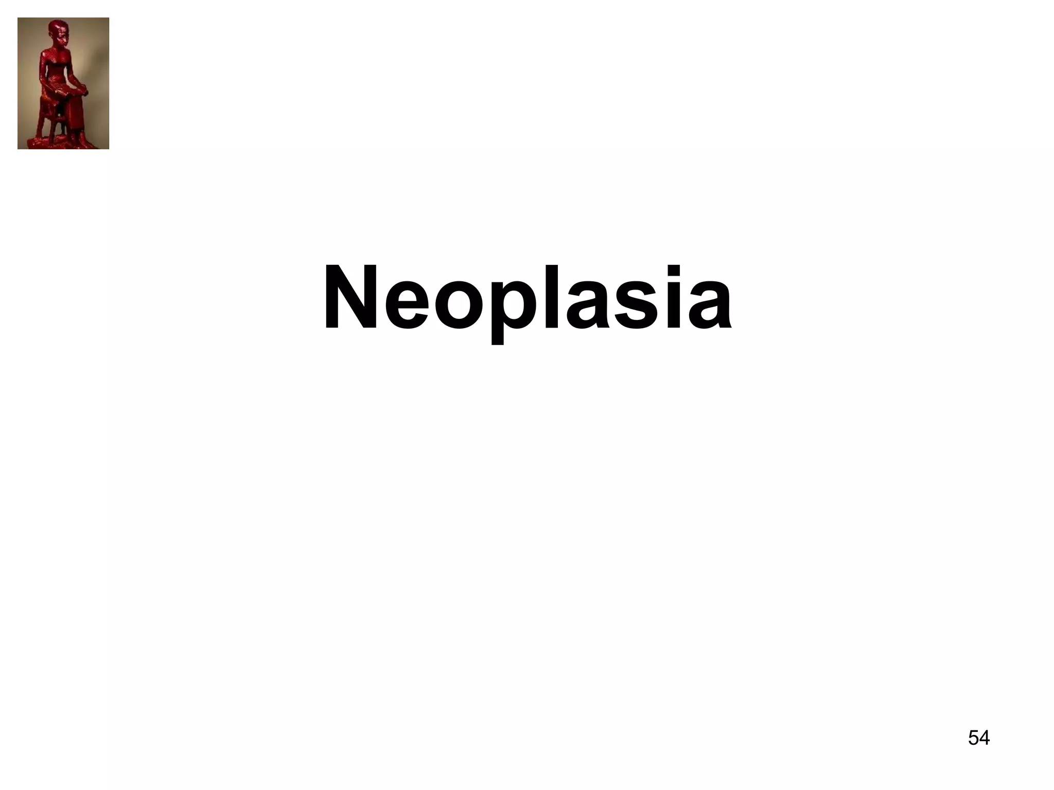 Neoplasia

54

 