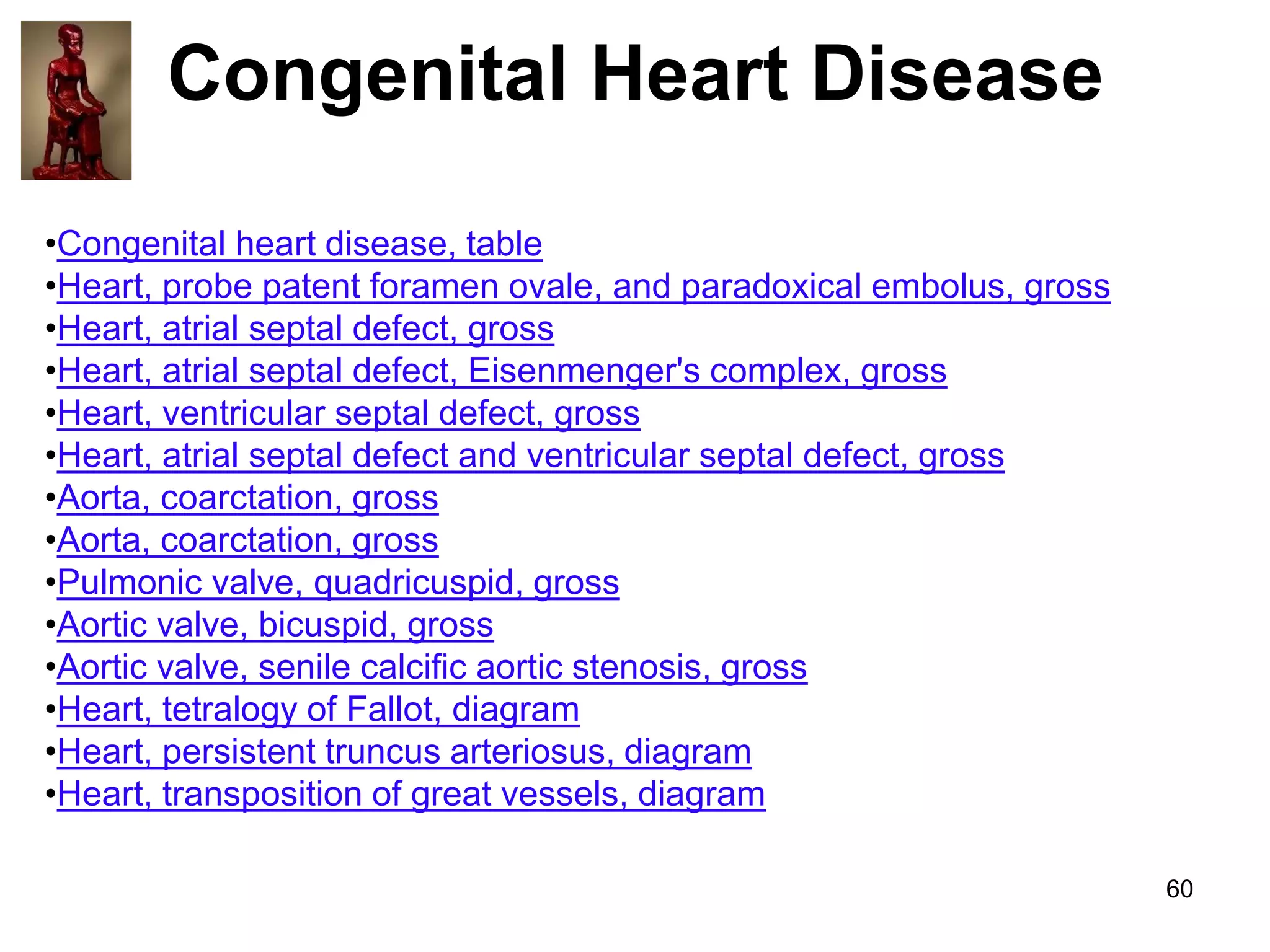 Congenital Heart Disease
•Congenital heart disease, table
•Heart, probe patent foramen ovale, and paradoxical embolus, gross
•Heart, atrial septal defect, gross
•Heart, atrial septal defect, Eisenmenger's complex, gross
•Heart, ventricular septal defect, gross
•Heart, atrial septal defect and ventricular septal defect, gross
•Aorta, coarctation, gross
•Aorta, coarctation, gross
•Pulmonic valve, quadricuspid, gross
•Aortic valve, bicuspid, gross
•Aortic valve, senile calcific aortic stenosis, gross
•Heart, tetralogy of Fallot, diagram
•Heart, persistent truncus arteriosus, diagram
•Heart, transposition of great vessels, diagram
60

 