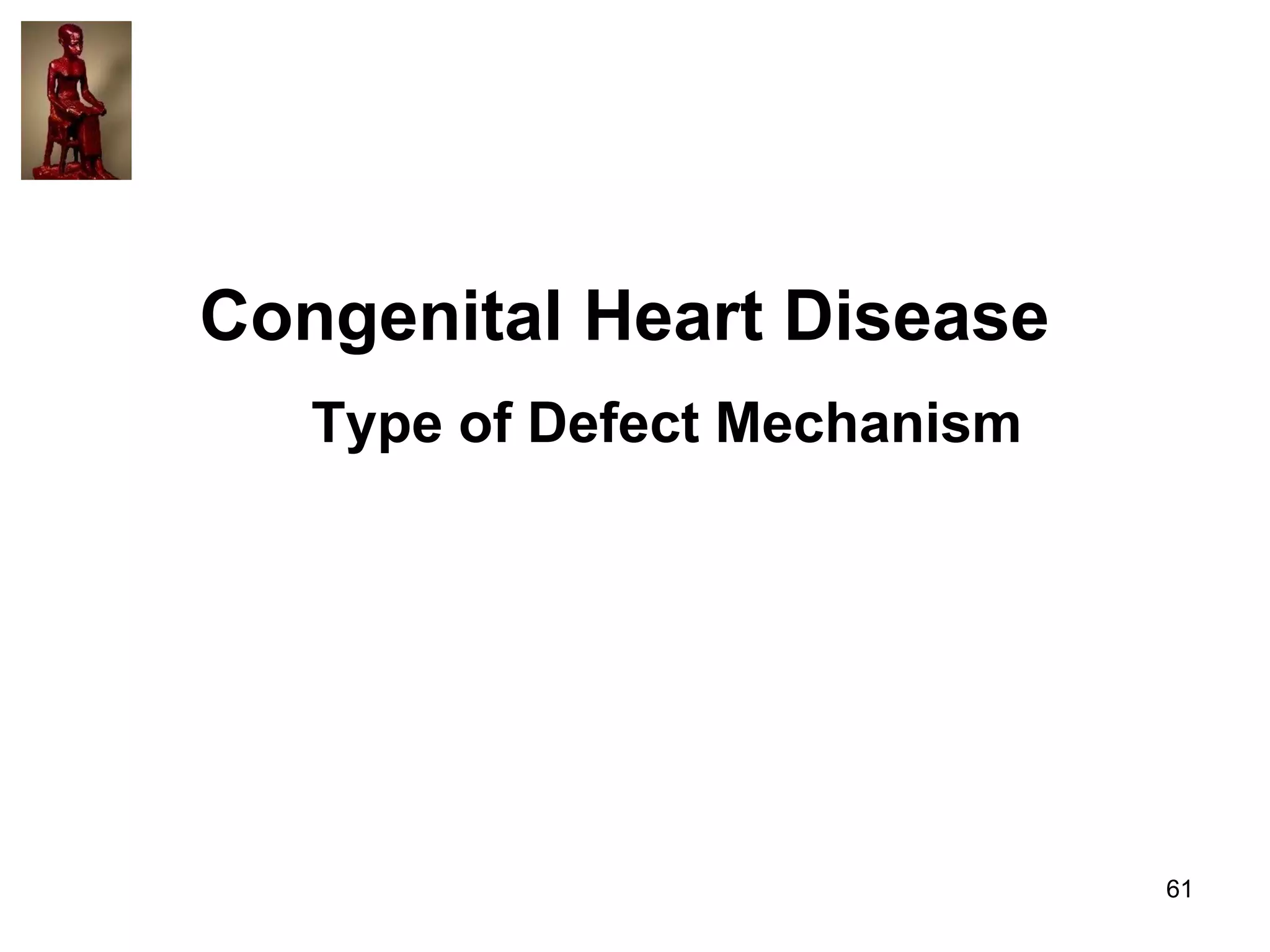 Congenital Heart Disease
Type of Defect Mechanism

61

 