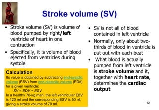 12
Stroke volume (SV)
• Stroke volume (SV) is volume of
blood pumped by right/left
ventricle of heart in one
contraction
•...
