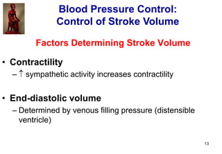 13
Factors Determining Stroke Volume
• Contractility
–  sympathetic activity increases contractility
• End-diastolic volu...