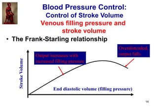 14
Venous filling pressure and
stroke volume
• The Frank-Starling relationship
StrokeVolume
End diastolic volume (filling ...