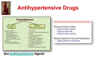 Antihypertensive Drugs
See Antihypertensive Agents
 