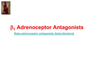 1 Adrenoceptor Antagonists
Beta-adrenoceptor antagonists (beta-blockers)
 