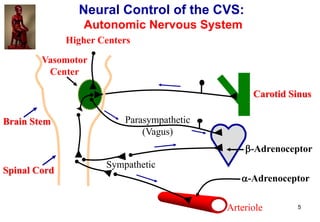 IVMS-CV -Cardiovascular Pharmacology Global Review