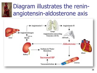 38
Diagram illustrates the renin-
angiotensin-aldosterone axis
 