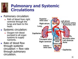 Copyright © The McGraw-Hill Companies, Inc. Permission required for reproduction or display.
30
Pulmonary and Systemic
Cir...
