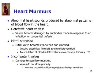 IVMS CV- Comprehensive Overview of Heart and Circulation