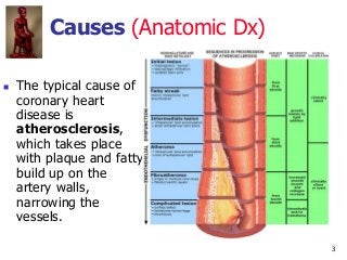 3
Causes (Anatomic Dx)
 The typical cause of
coronary heart
disease is
atherosclerosis,
which takes place
with plaque and...