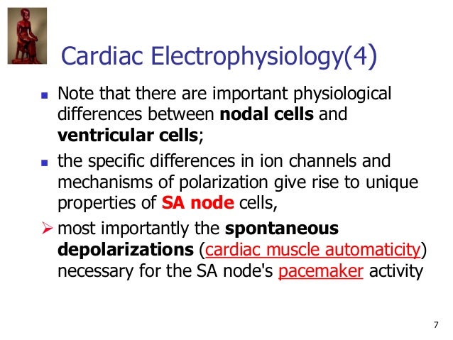 Ivms Cv Pharmacology Antiarrhythmic Agents