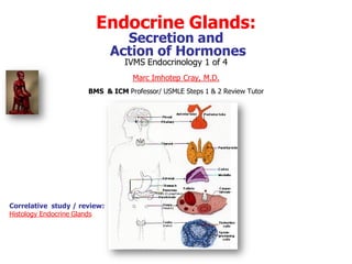 Endocrine Glands:
                                Secretion and
                              Action of Hormones
                                IVMS Endocrinology 1 of 4
                                  Marc Imhotep Cray, M.D.
                      BMS & ICM Professor/ USMLE Steps 1 & 2 Review Tutor




Correlative study / review:
Histology Endocrine Glands
 