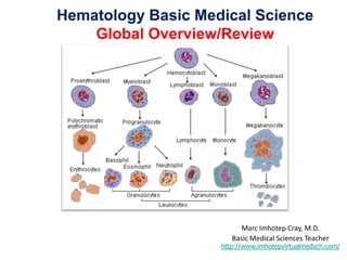 Hematology Basic Medical Science
Global Overview/Review
Marc Imhotep Cray, M.D.
Basic Medical Sciences Teacher
http://www.imhotepvirtualmedsch.com/
 