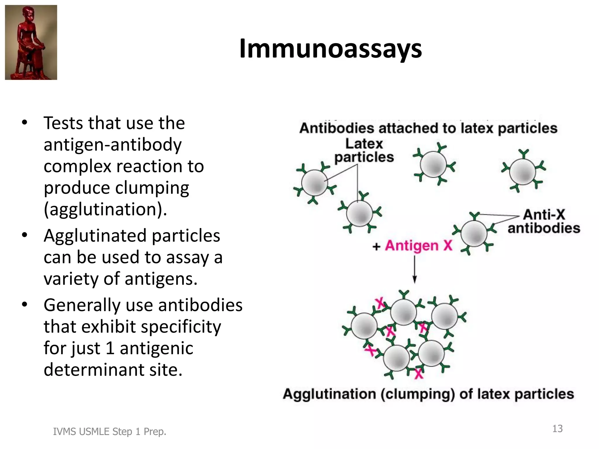 Immune System: Immunocytology, Immunophysiology and Intro to ...