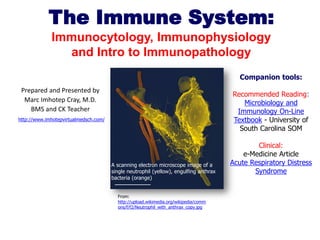 The Immune System:
Immunocytology, Immunophysiology
and Intro to Immunopathology
Companion tools:
Prepared and Presented by
Marc Imhotep Cray, M.D.
BMS and CK Teacher

Recommended Reading:
Microbiology and
Immunology On-Line
Textbook - University of
South Carolina SOM

http://www.imhotepvirtualmedsch.com/

A scanning electron microscope image of a
single neutrophil (yellow), engulfing anthrax
bacteria (orange)
From:
http://upload.wikimedia.org/wikipedia/comm
ons/f/f2/Neutrophil_with_anthrax_copy.jpg

Clinical:
e-Medicine Article
Acute Respiratory Distress
Syndrome

 