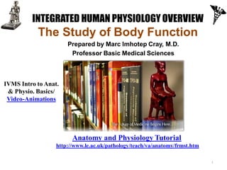 INTEGRATED HUMAN PHYSIOLOGY OVERVIEW
           The Study of Body Function
                      Prepared by Marc Imhotep Cray, M.D.
                       Professor Basic Medical Sciences



IVMS Intro to Anat.
 & Physio. Basics/
 Video-Animations




                        Anatomy and Physiology Tutorial
                  http://www.le.ac.uk/pathology/teach/va/anatomy/frmst.htm

                                                                             1
 