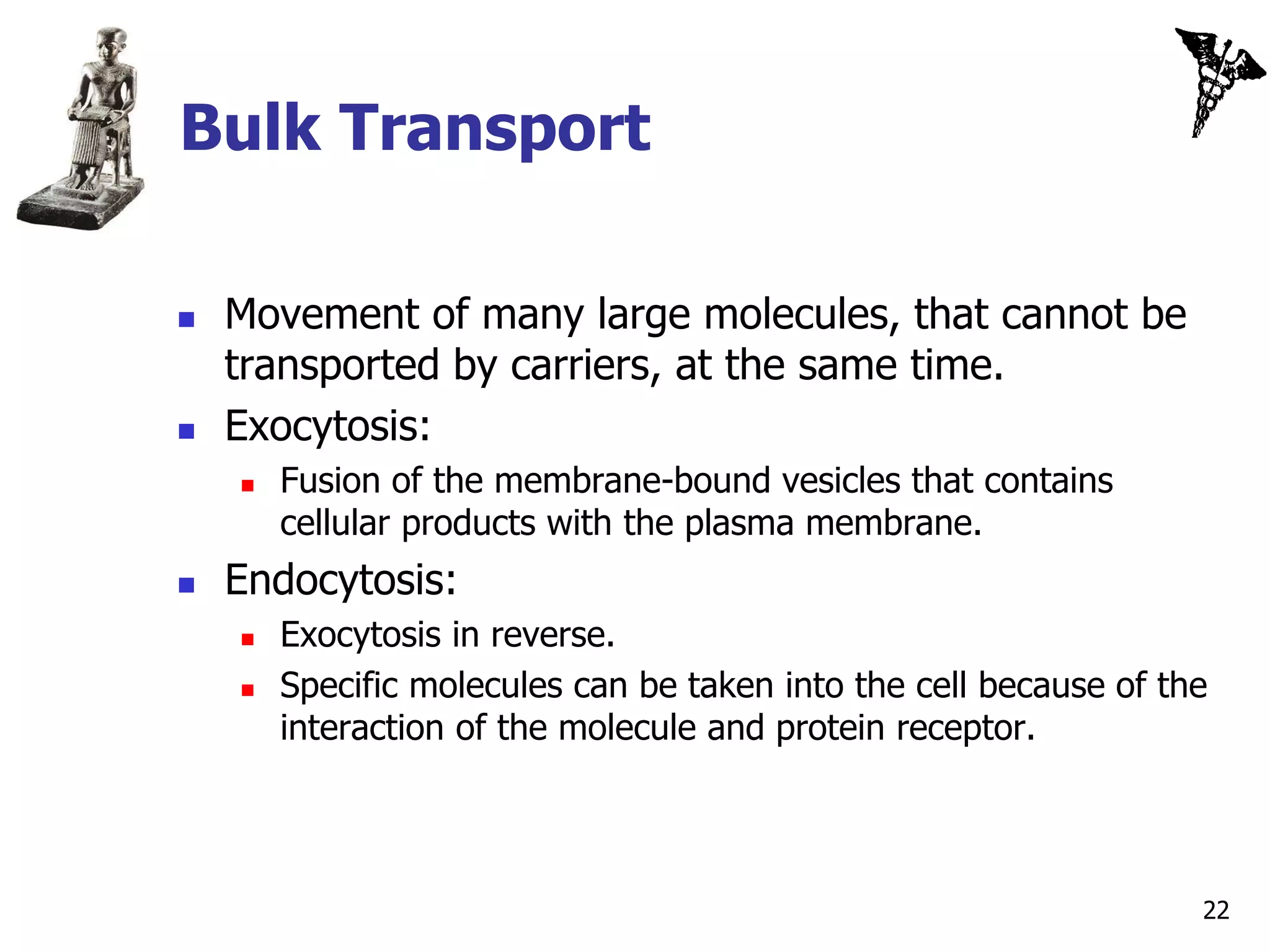 Bulk Transport

   Movement of many large molecules, that cannot be
    transported by carriers, at the same time.
   Exocytosis:
       Fusion of the membrane-bound vesicles that contains
        cellular products with the plasma membrane.
   Endocytosis:
       Exocytosis in reverse.
       Specific molecules can be taken into the cell because of the
        interaction of the molecule and protein receptor.




                                                                   22
 