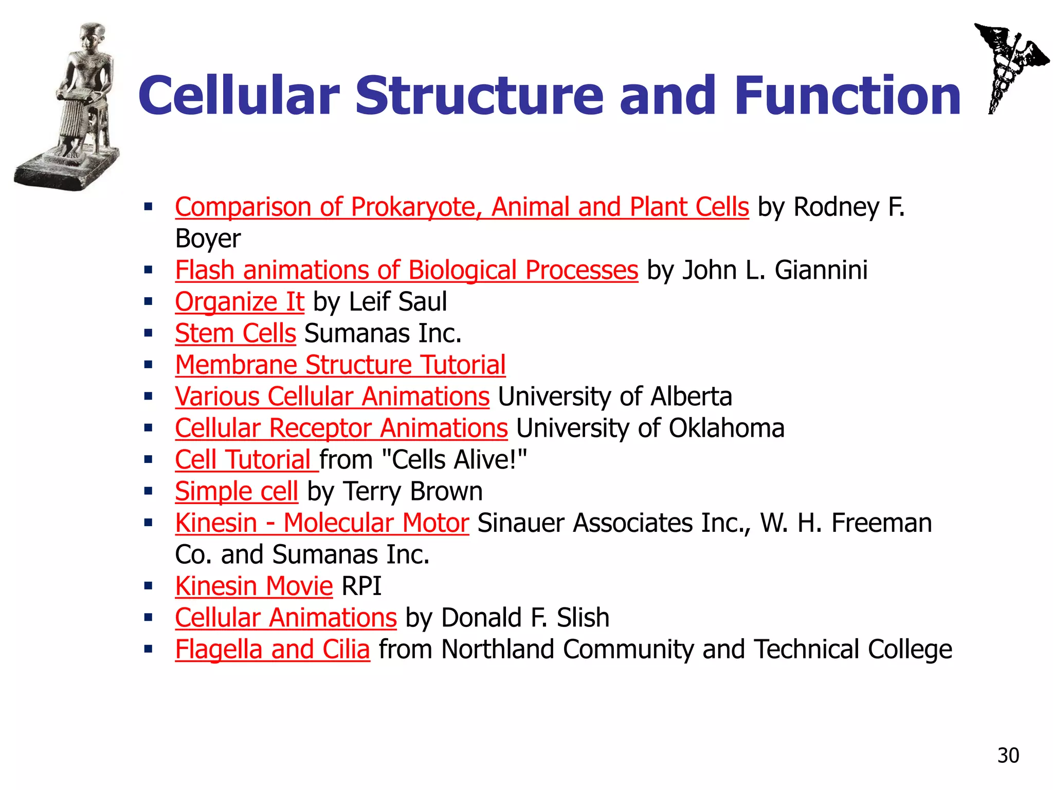 Cellular Structure and Function
 Comparison of Prokaryote, Animal and Plant Cells by Rodney F.
  Boyer
 Flash animations of Biological Processes by John L. Giannini
 Organize It by Leif Saul
 Stem Cells Sumanas Inc.
 Membrane Structure Tutorial
 Various Cellular Animations University of Alberta
 Cellular Receptor Animations University of Oklahoma
 Cell Tutorial from "Cells Alive!"
 Simple cell by Terry Brown
 Kinesin - Molecular Motor Sinauer Associates Inc., W. H. Freeman
  Co. and Sumanas Inc.
 Kinesin Movie RPI
 Cellular Animations by Donald F. Slish
 Flagella and Cilia from Northland Community and Technical College


                                                                      30
 
