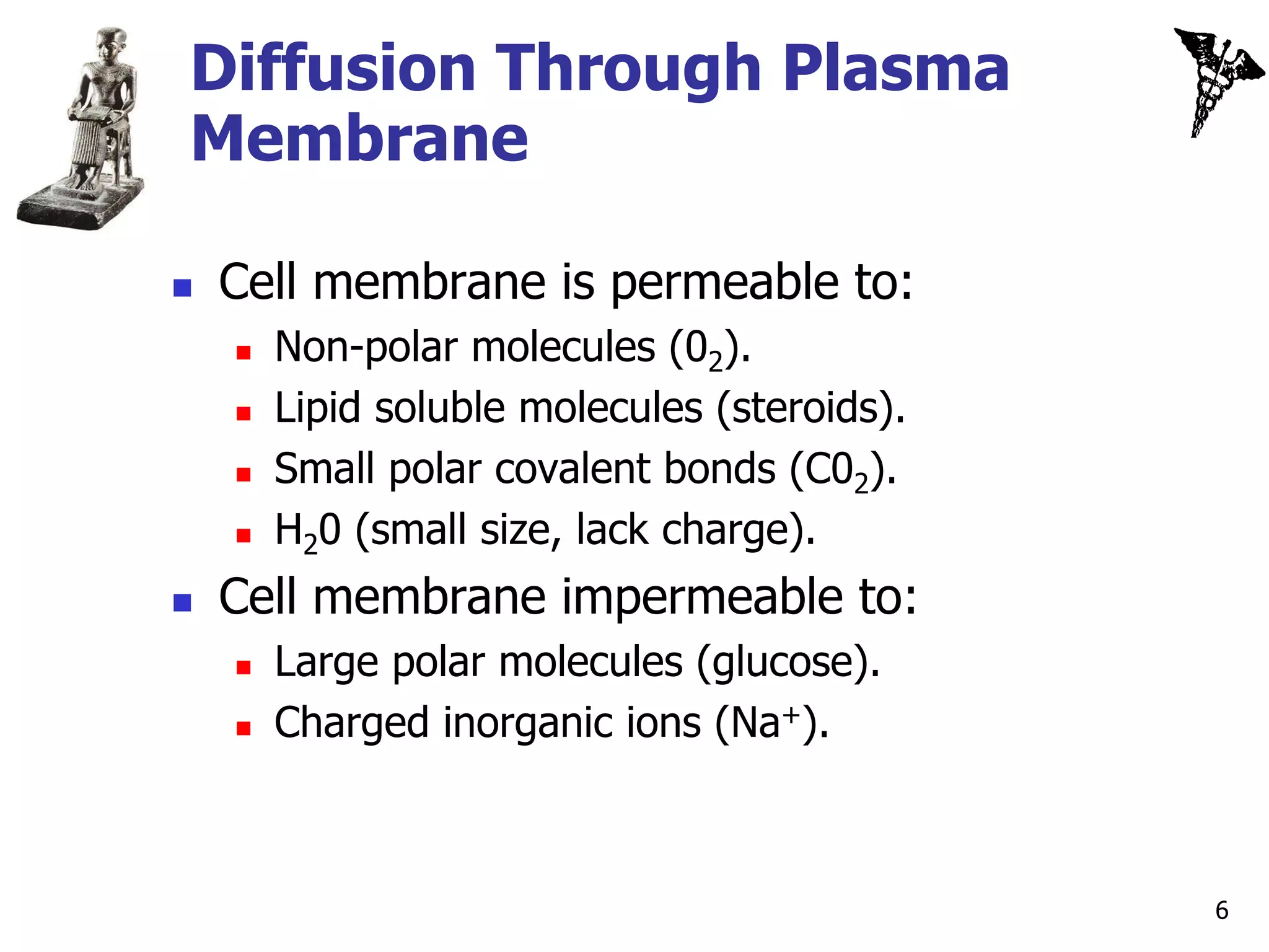 Diffusion Through Plasma
Membrane

   Cell membrane is permeable to:
       Non-polar molecules (02).
       Lipid soluble molecules (steroids).
       Small polar covalent bonds (C02).
       H20 (small size, lack charge).
   Cell membrane impermeable to:
       Large polar molecules (glucose).
       Charged inorganic ions (Na+).



                                              6
 