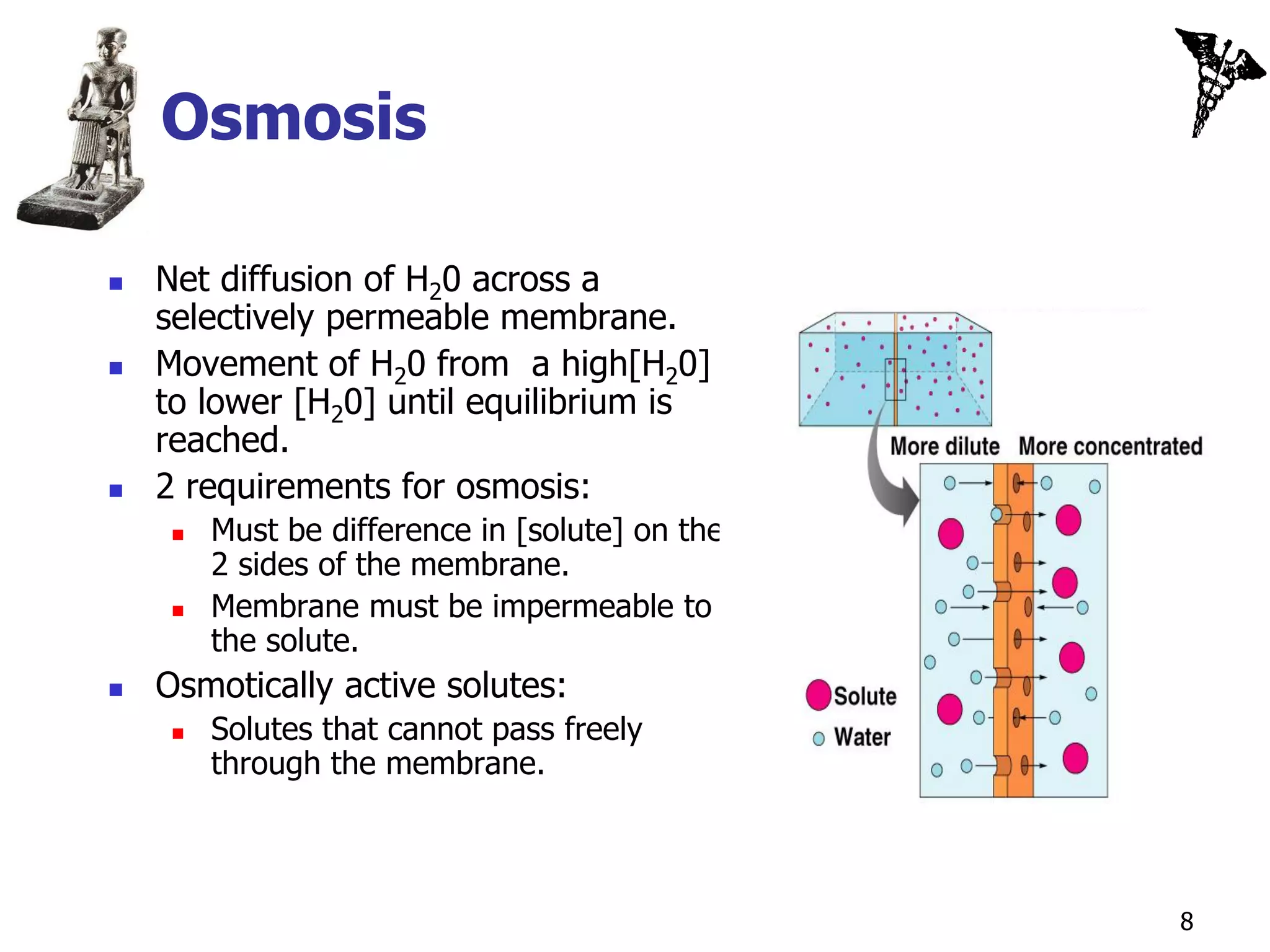 Osmosis

   Net diffusion of H20 across a
    selectively permeable membrane.
   Movement of H20 from a high[H20]
    to lower [H20] until equilibrium is
    reached.
   2 requirements for osmosis:
        Must be difference in [solute] on the
         2 sides of the membrane.
        Membrane must be impermeable to
         the solute.
   Osmotically active solutes:
        Solutes that cannot pass freely
         through the membrane.



                                                 8
 