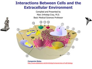 Interactions Between Cells and the
    Extracellular Environment
                Compiled and Presented by
                 Marc Imhotep Cray, M.D.
              Basic Medical Sciences Professor




      Companion Notes
      http://www.slideshare.net/drimhotep/ivmsoverview-of-cell-biology
 