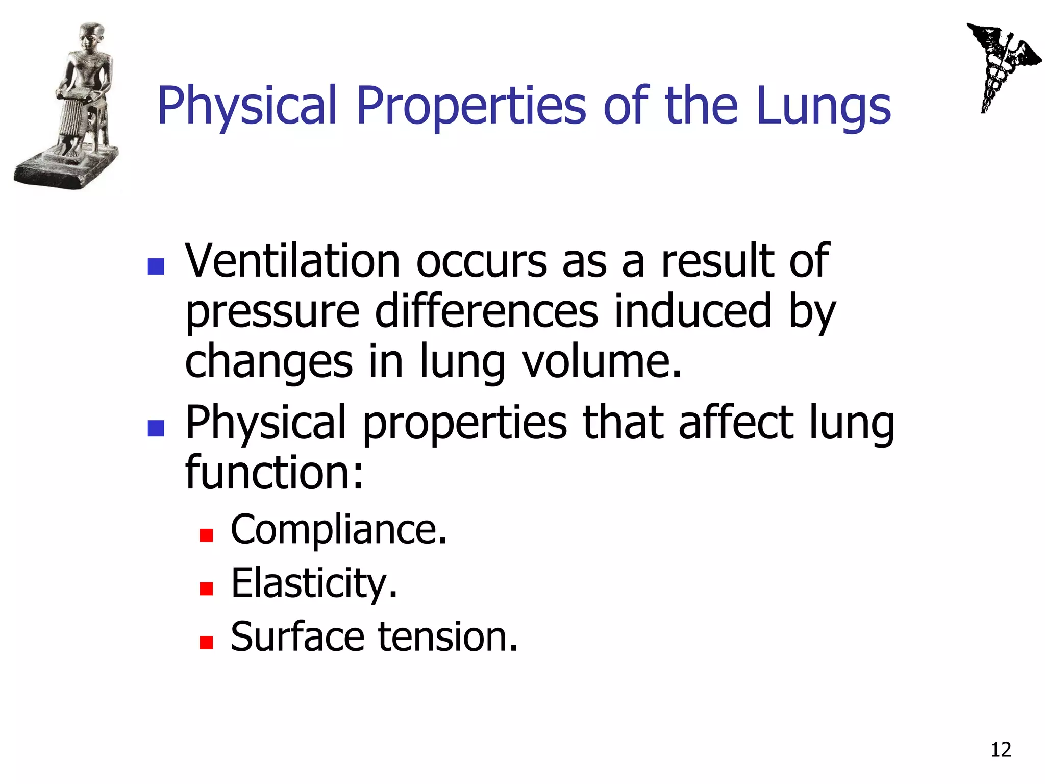 Physical Properties of the Lungs

   Ventilation occurs as a result of
    pressure differences induced by
    changes in lung volume.
   Physical properties that affect lung
    function:
       Compliance.
       Elasticity.
       Surface tension.

                                           12
 