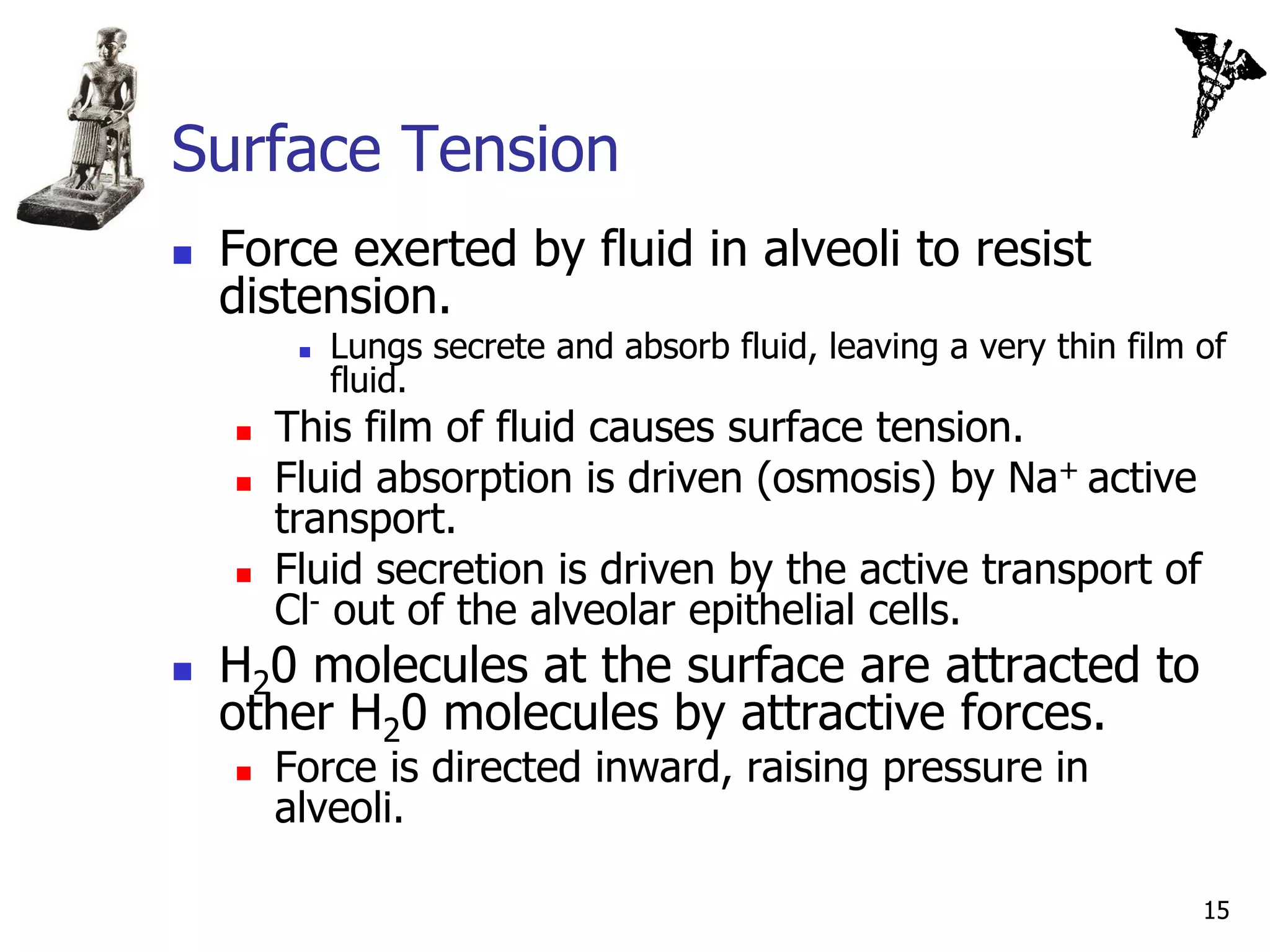 Surface Tension
   Force exerted by fluid in alveoli to resist
    distension.
            Lungs secrete and absorb fluid, leaving a very thin film of
             fluid.
       This film of fluid causes surface tension.
       Fluid absorption is driven (osmosis) by Na+ active
        transport.
       Fluid secretion is driven by the active transport of
        Cl- out of the alveolar epithelial cells.
   H20 molecules at the surface are attracted to
    other H20 molecules by attractive forces.
       Force is directed inward, raising pressure in
        alveoli.

                                                                      15
 