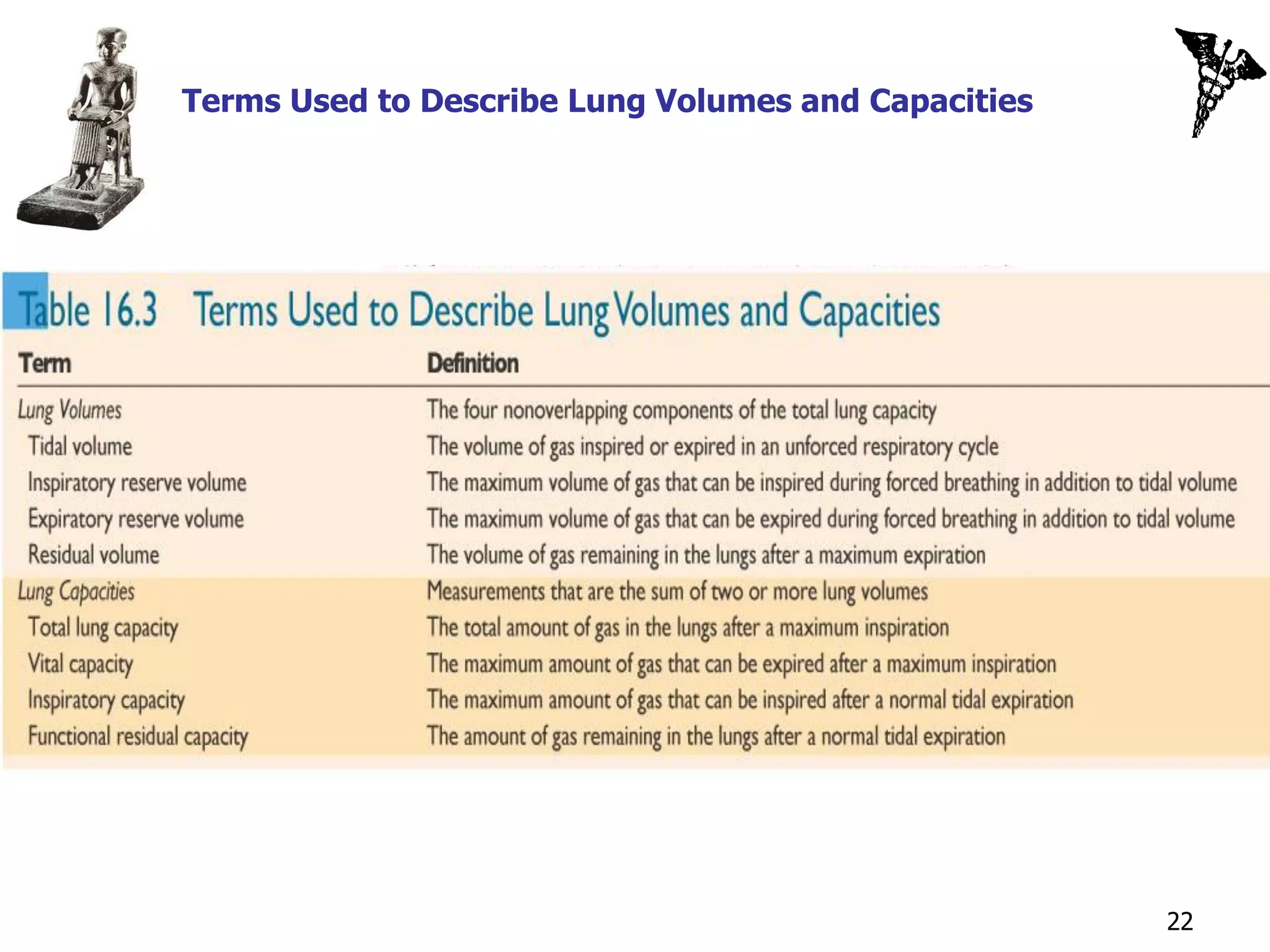Terms Used to Describe Lung Volumes and Capacities




                                                     22
 