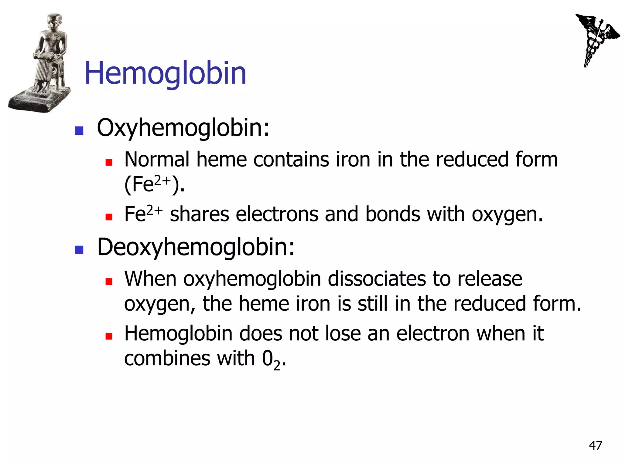 Hemoglobin
   Oxyhemoglobin:
       Normal heme contains iron in the reduced form
        (Fe2+).
       Fe2+ shares electrons and bonds with oxygen.
   Deoxyhemoglobin:
       When oxyhemoglobin dissociates to release
        oxygen, the heme iron is still in the reduced form.
       Hemoglobin does not lose an electron when it
        combines with 02.



                                                              47
 