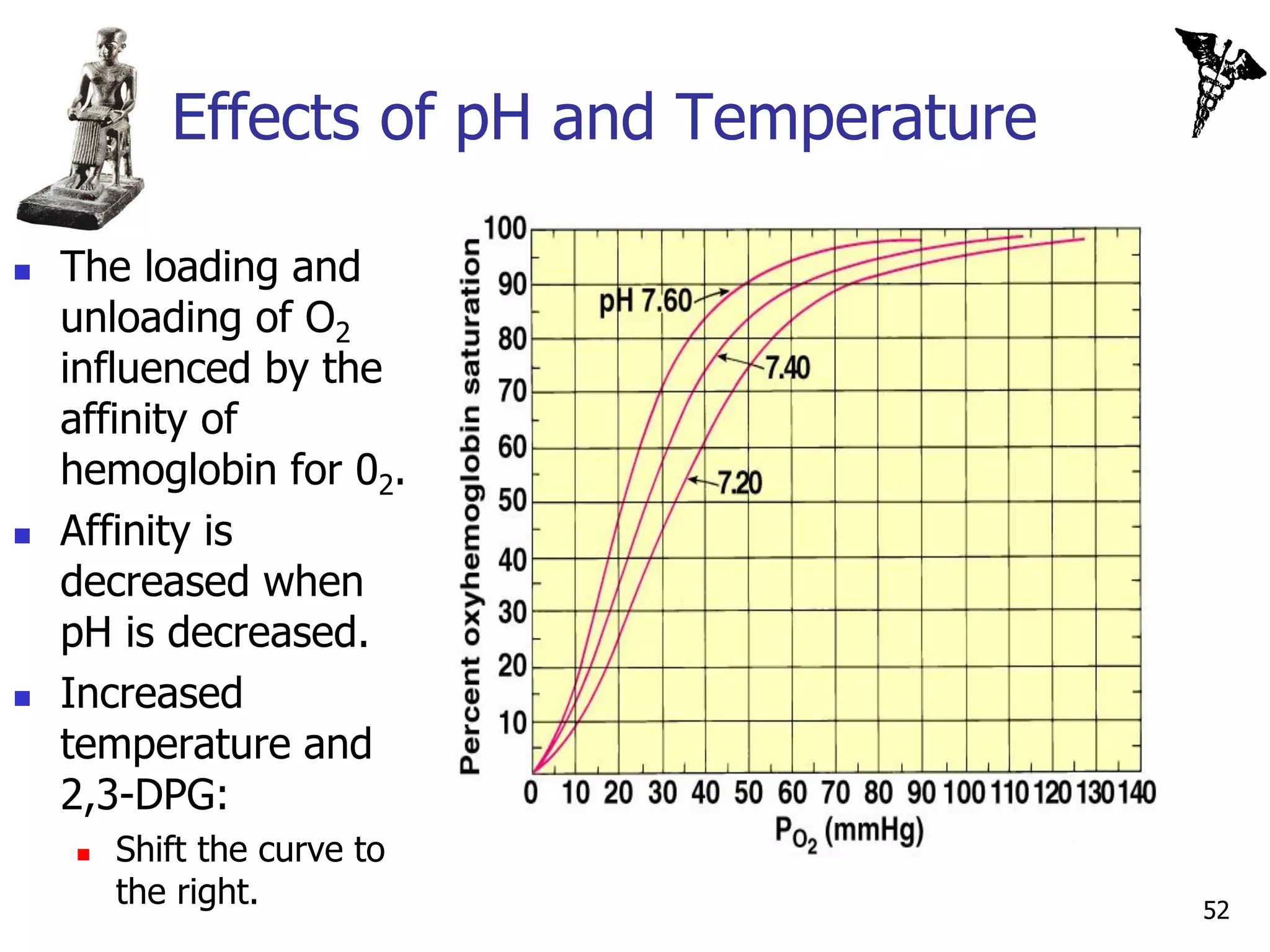 Effects of pH and Temperature

   The loading and
    unloading of O2
    influenced by the          Insert fig. 16.35
    affinity of
    hemoglobin for 02.
   Affinity is
    decreased when
    pH is decreased.
   Increased
    temperature and
    2,3-DPG:
       Shift the curve to
        the right.                                 52
 