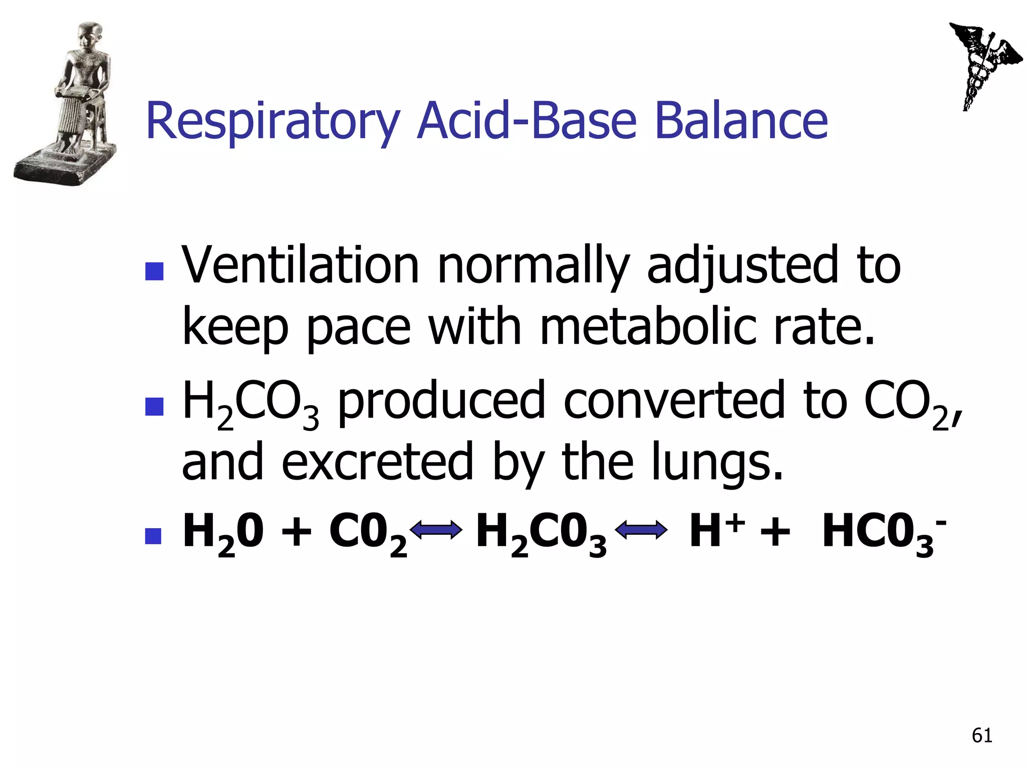 Respiratory Acid-Base Balance

   Ventilation normally adjusted to
    keep pace with metabolic rate.
   H2CO3 produced converted to CO2,
    and excreted by the lungs.
   H20 + C02   H2C03   H+ + HC03-



                                       61
 