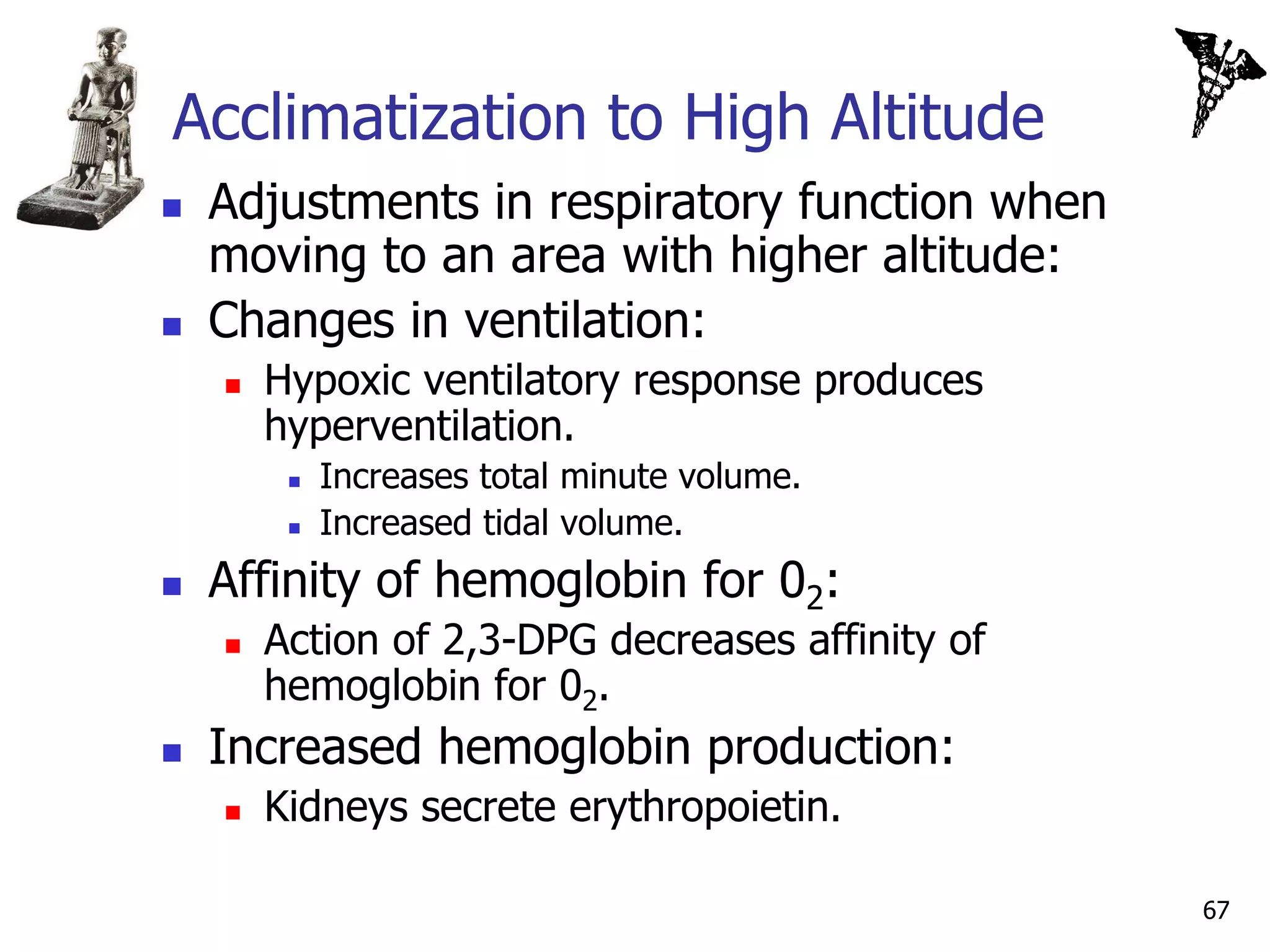 Acclimatization to High Altitude
   Adjustments in respiratory function when
    moving to an area with higher altitude:
   Changes in ventilation:
       Hypoxic ventilatory response produces
        hyperventilation.
            Increases total minute volume.
            Increased tidal volume.
   Affinity of hemoglobin for 02:
       Action of 2,3-DPG decreases affinity of
        hemoglobin for 02.
   Increased hemoglobin production:
       Kidneys secrete erythropoietin.

                                                  67
 