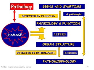 Towards Understanding the Basic Medical Sciences Foundation of Clinical ...