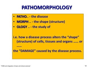 Composition Patho Towards Understanding the Basic Medical Sciences Foundation of Clinical ...