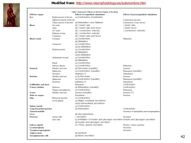 Autonomic And Cardiovascular Pharmacology Powerpoint Book