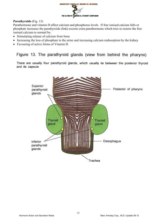 Parathyroids (Fig. 13)
Parathormone and vitamin D affect calcium and phosphorus levels. If free ionised calcium falls or
phosphate increases the parathyroids (link) excrete extra parathormone which tries to restore the free
ionised calcium to normal by:
• Stimulating release of calcium from bone
• Increasing the loss of phosphate in the urine and increasing calcium reabsorption by the kidney
• Favouring of active forms of Vitamin D.
13
 