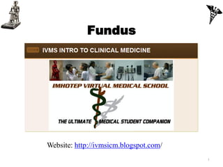 Fundus




Website: http://ivmsicm.blogspot.com/
                                        1
 