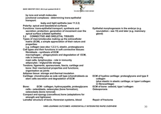 MARC IMHOTEP CRAY, M.D./Last updated 06-08-12



   by ions and small molecules
   junctional complexes - determining trans-epithelial
   transport:
                  leaky and tight epithelia (see 11.3.3)
Polarity: apical and basolateral surfaces
Functions: trans-epithelial transport; synthesis and             Epithelial morphogenesis in the embryo (e.g.
   secretion; protection; generation of movement over the           neurulation - see 15) and later (e.g. mammary
   apical surface (ciliated epithelia)                              gland)
5.2     CONNECTIVE AND SKELETAL TISSUES
Types of macromolecules making up the extracellular
   matrix (ECM), a simple appreciation of their nature and
   properties:
   e.g. collagen (see also 1.2.3.1), elastin, proteoglycans
Cell types and their functions in soft connective tissues:
   fibroblasts - synthesis of ECM
   macrophages – phagocytosis and degradation of ECM,
   role in immunity
   mast cells, lymphocytes - role in immunity
   adipocytes - triglyceride storage
Tendons, ligaments, aponeuroses, fascia, cartilage and
   bone: their mechanical properties and functions;
   organisation as joints
Adipose tissue: storage and thermal insulation
Cartilage: chondrocytes as sole cell type (chondroblasts as      ECM of hyaline cartilage: proteoglycans and type II
   stem cells secretion and degradation of ECM                     collagen
                                                                   (plus elastin in elastic cartilage; or type-I collagen
                                                                   in fibrocartilage)
Bone:        ECM - collagen, hydroxyapatite, proteoglycans       ECM of bone: osteoid, type I collagen
  cells - osteoblasts, osteocytes (bone formation),              Osteoporosis
  osteoclasts (bone removal)
Compact and spongy (cancellous) bone (adaptations for
  strength and lightness)
Lamellar structure of bone; Haversian systems, blood             Repair of fractures

                        IVMS LEARNING OUTCOMES -HORIZONTALLY INTEGRATED RAPID OVERVIEW                             30
 