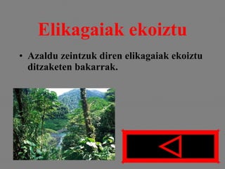 Elikagaiak ekoiztu Azaldu zeintzuk diren elikagaiak ekoiztu ditzaketen bakarrak. 