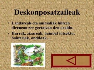 Deskonposatzaileak Landareak eta animaliak hiltzen direnean zer gertatzen den azaldu. Harrak, zizareak, hainbat intsektu, bakteriak, onddoak… 
