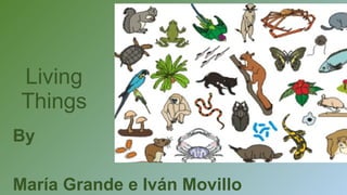 Living
Things
By
María Grande e Iván Movillo
 