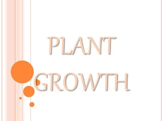 PLANT
GROWTH
 
