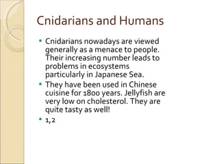 Cnidarians and Humans Cnidarians nowadays are viewed generally as a menace to people. Their increasing number leads to problems in ecosystems particularly in Japanese Sea. They have been used in Chinese cuisine for 1800 years. Jellyfish are very low on cholesterol. They are quite tasty as well! 1,2 